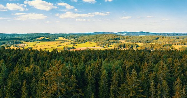 Zapomenuté kopce II