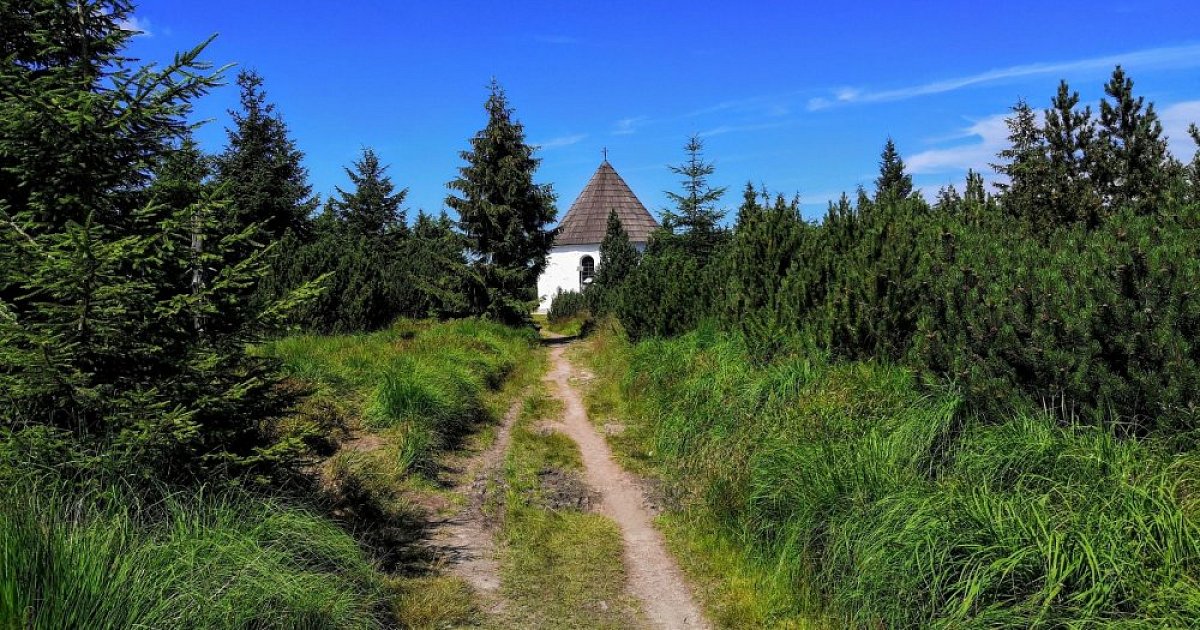 Orlický horal