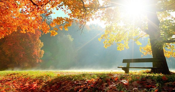 Course d'orientation d'automne