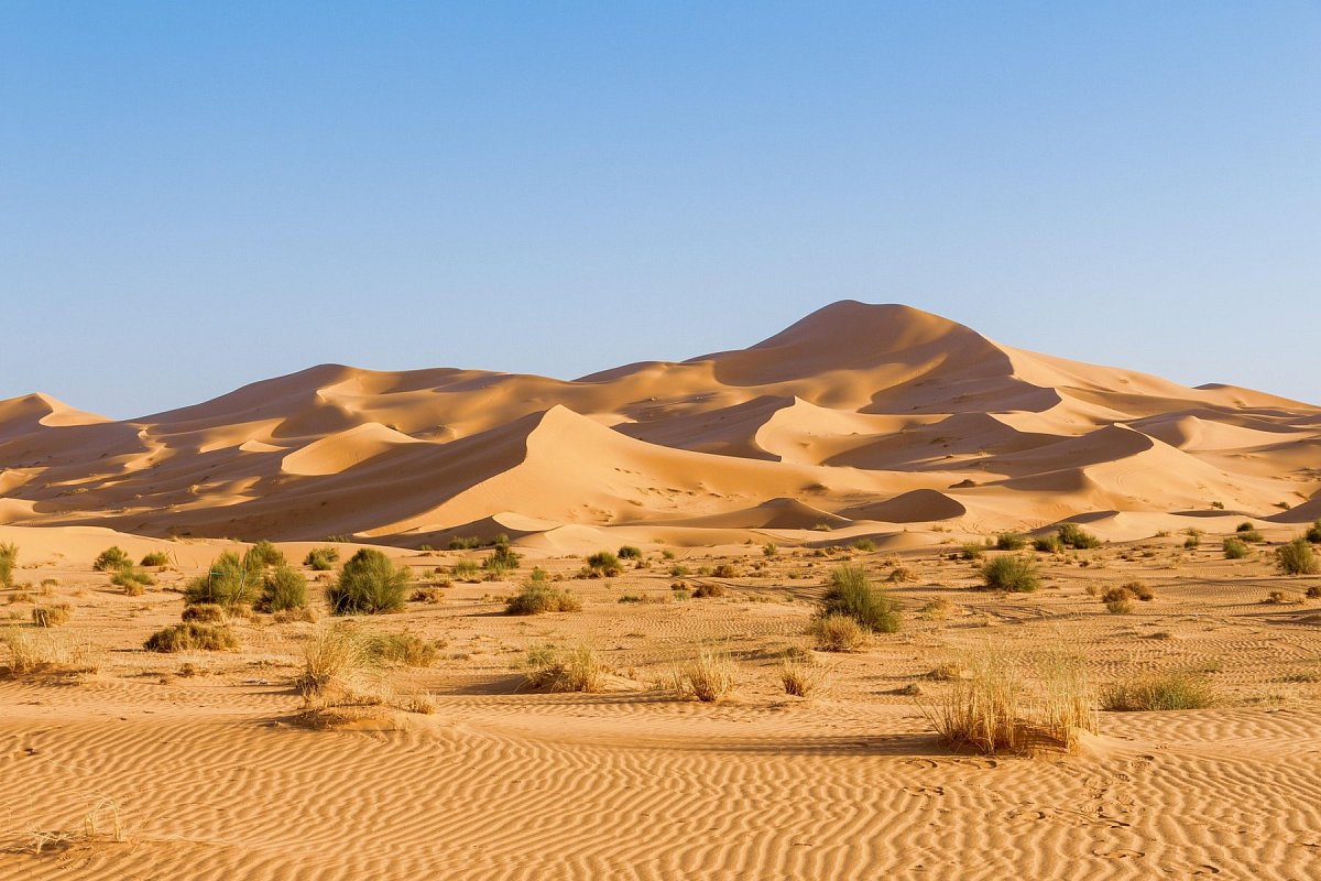 Sahara occidental