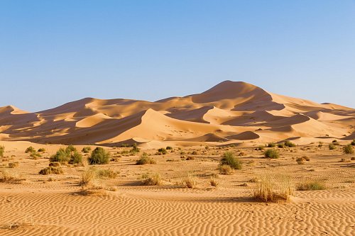 Sahara occidental