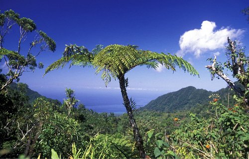 Comores
