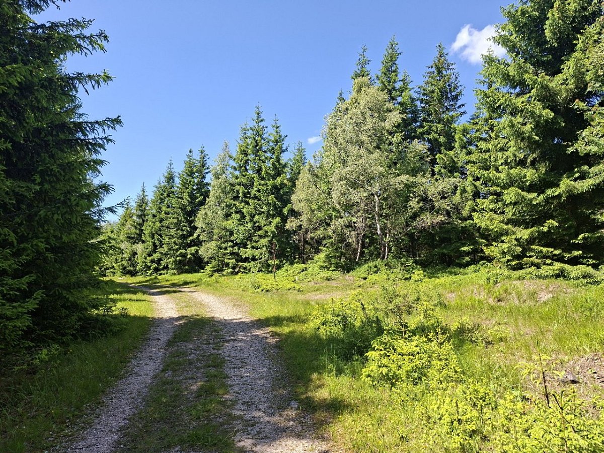 Jelení vrch (1023&nbsp;m)