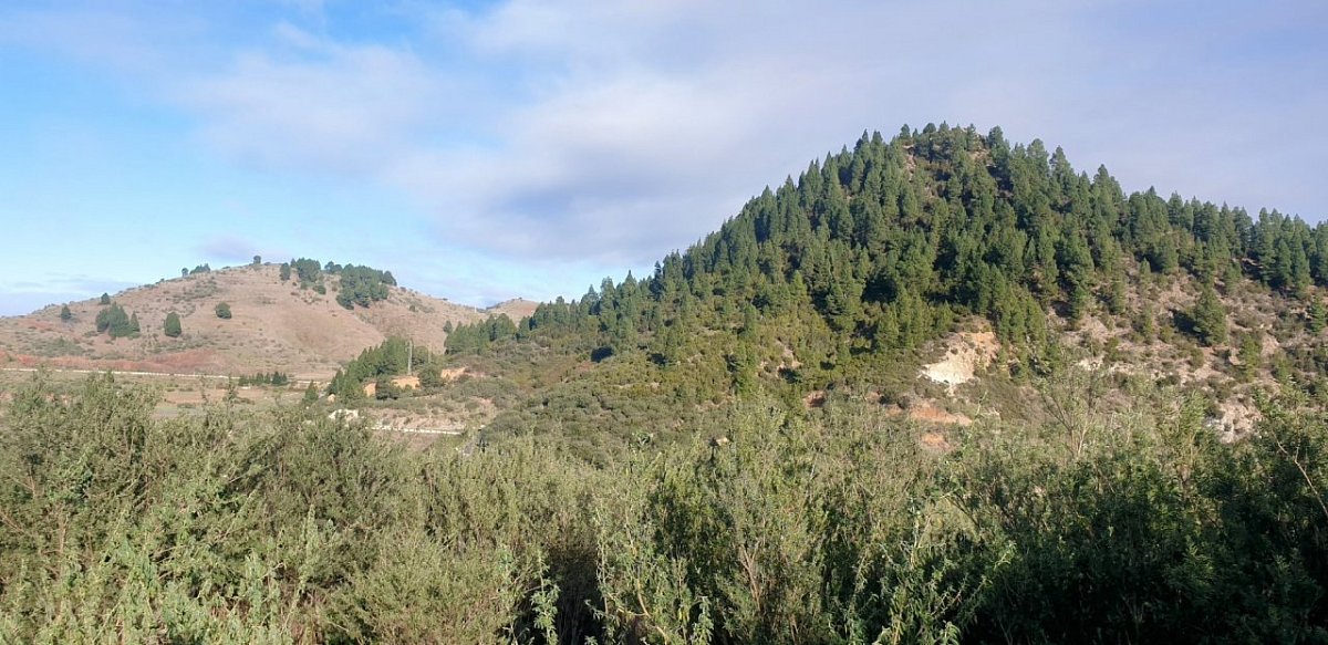 Montaña Piedra Alta (1165&nbsp;m)