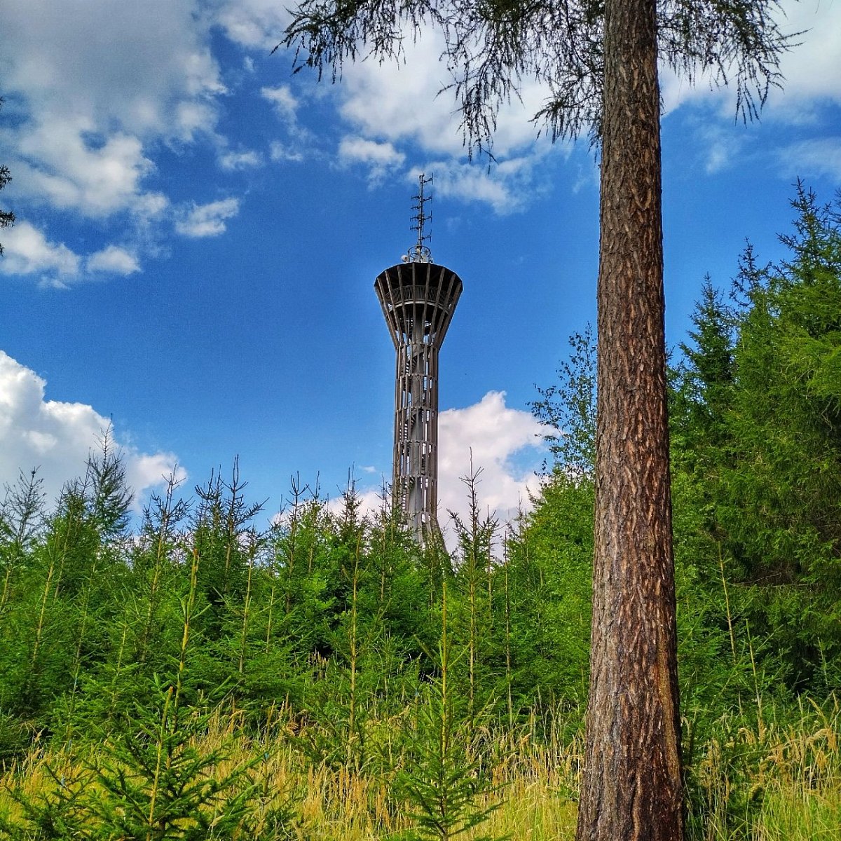 Březák (533&nbsp;m)