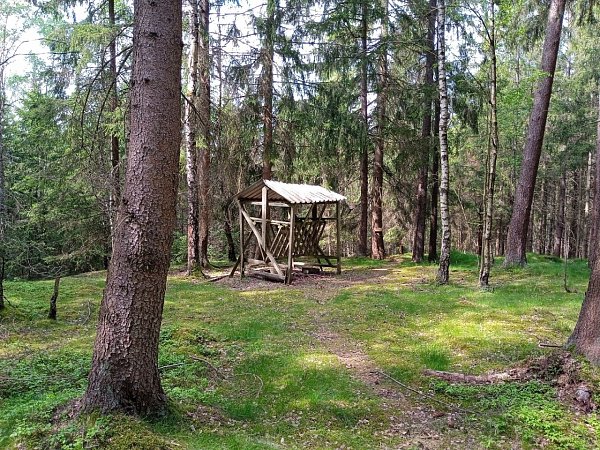 Panská rozhledna