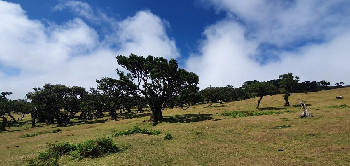 Fanal (1236&nbsp;m)