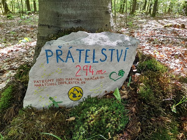 Přátelství