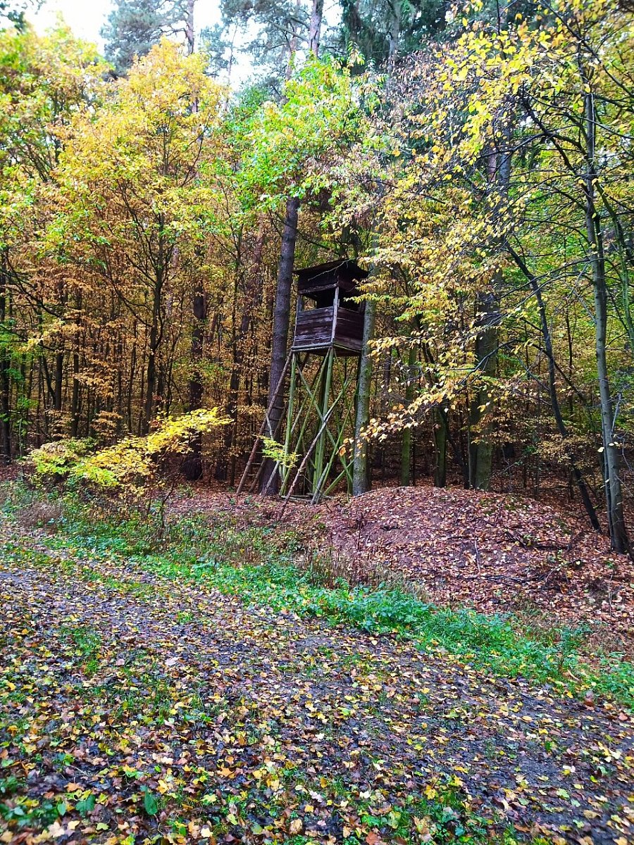 Obecní kopec (345&nbsp;m)