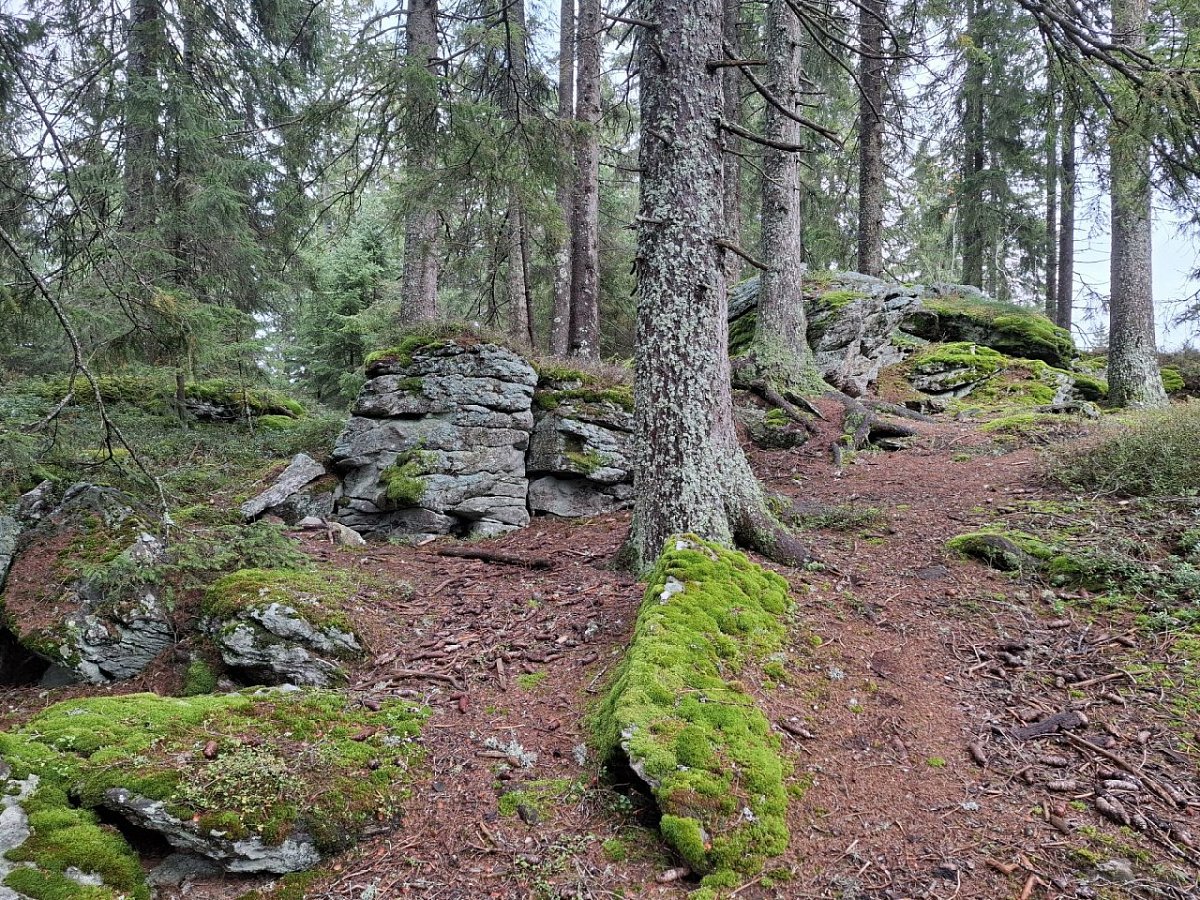 Lapka (1171&nbsp;m)