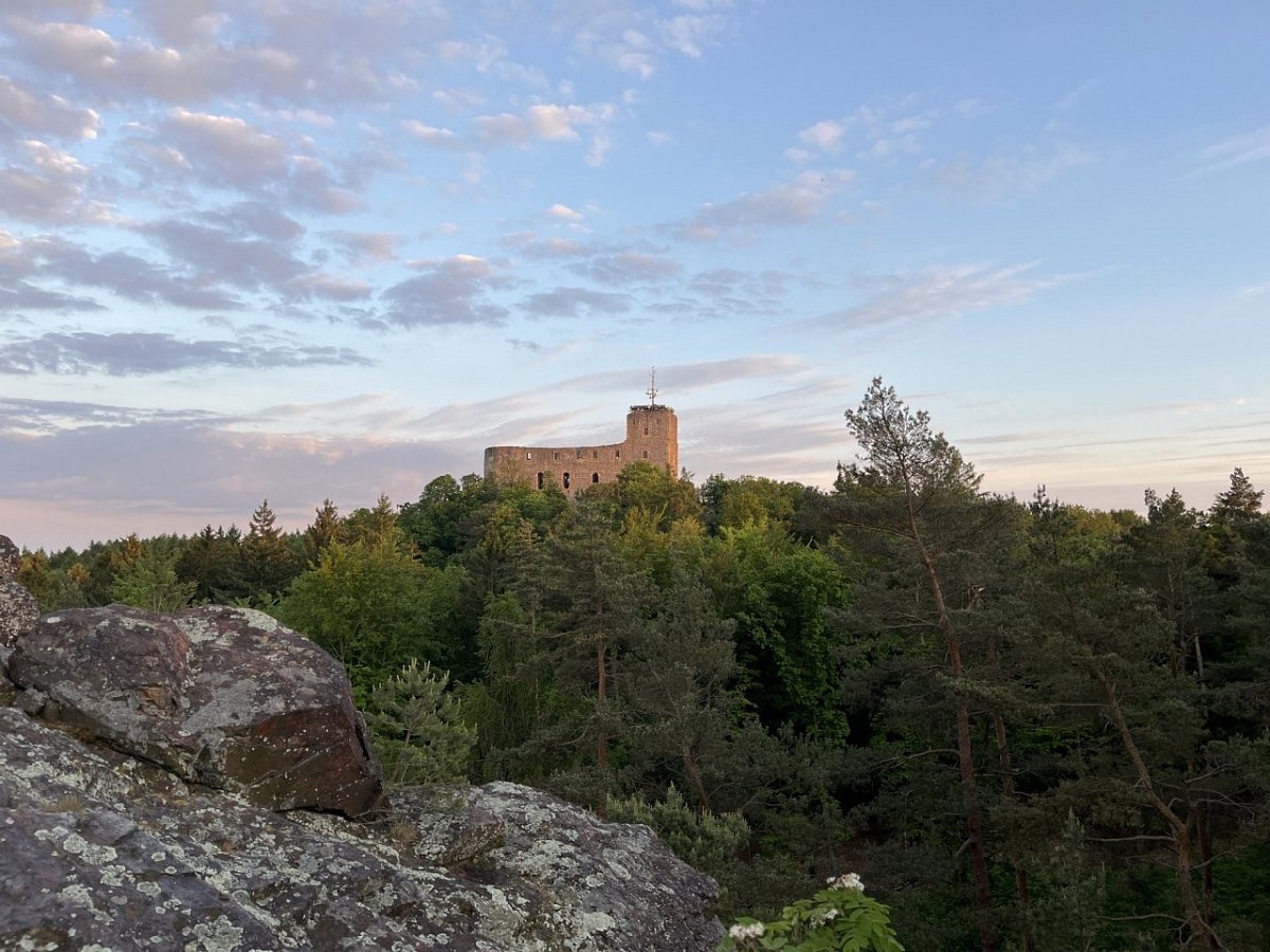 Vysoký Štont (555&nbsp;m)