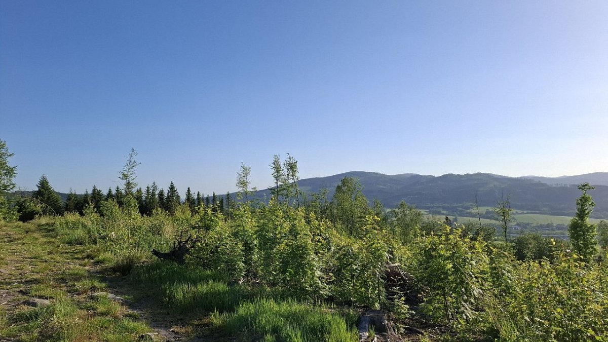 Zelená (604&nbsp;m)
