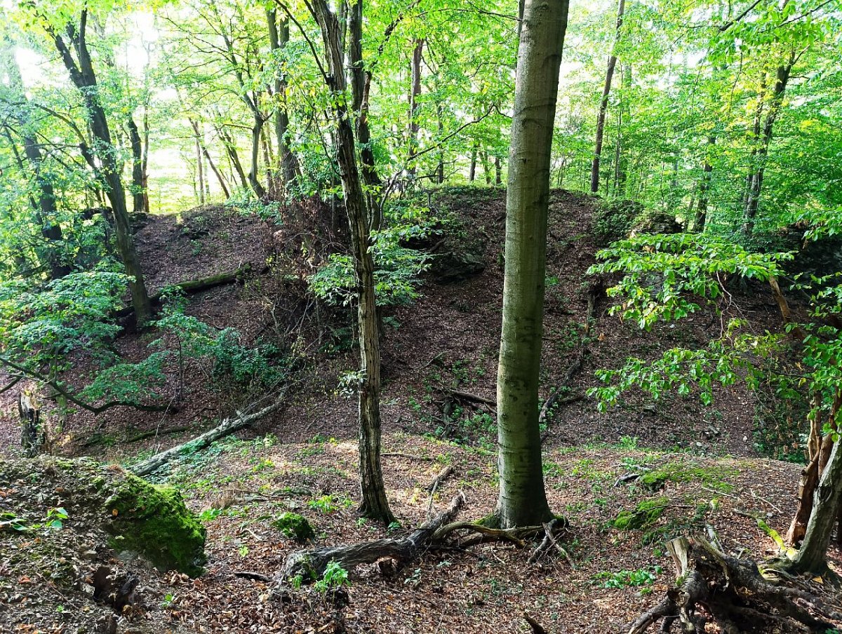 Hradisko (356&nbsp;m)