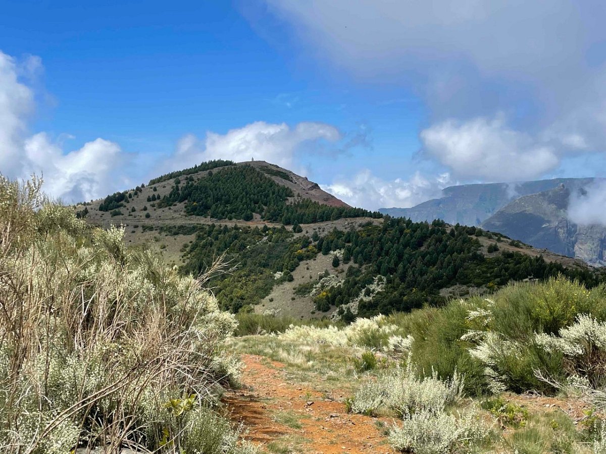 Pico do Cedro (1762&nbsp;m)