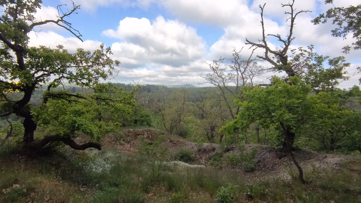 Kaplířka (372&nbsp;m)