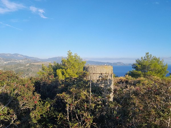 Παλιούρια