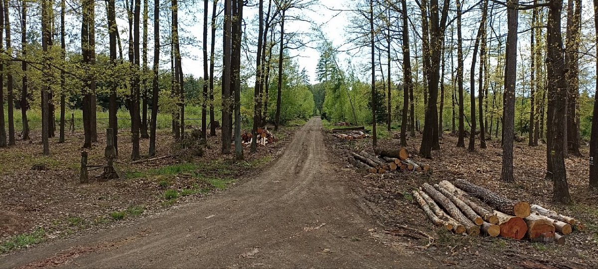 Na Vlčích (359&nbsp;m)