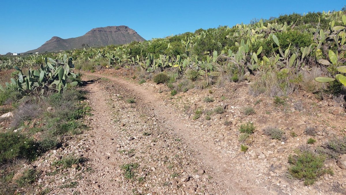 Montaña del Espadal (580&nbsp;m)