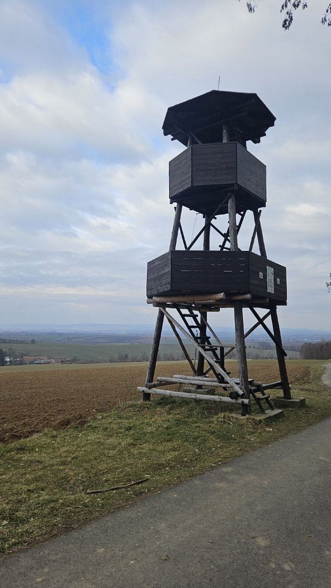 Vitčický les (309&nbsp;m)