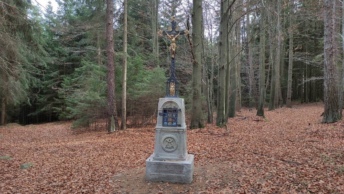 Besednická hora SZ (665&nbsp;m)