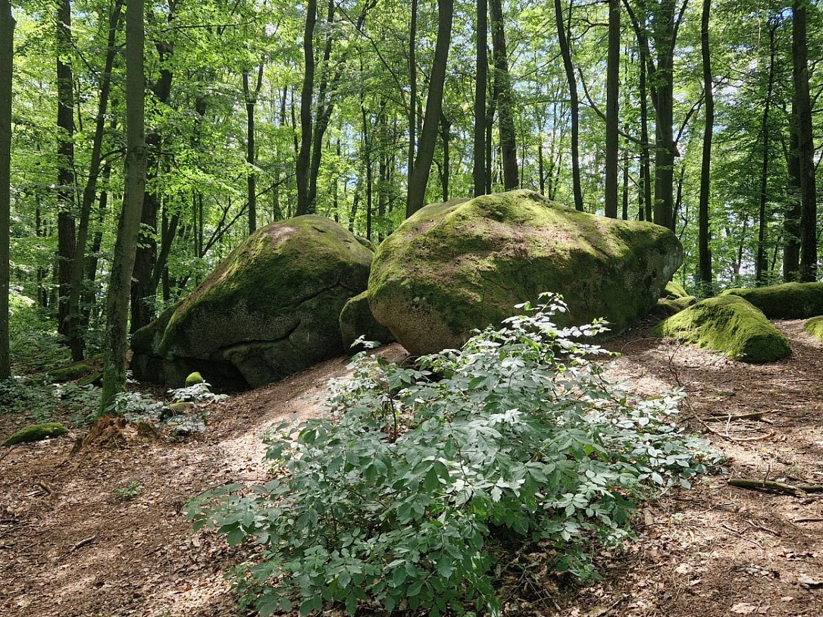 Velký Mehelník (633&nbsp;m)