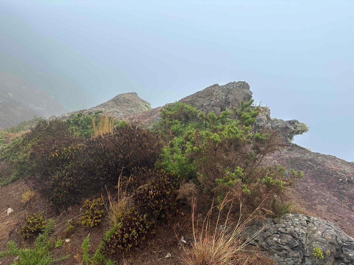 Pico das Roçadas (379&nbsp;m)