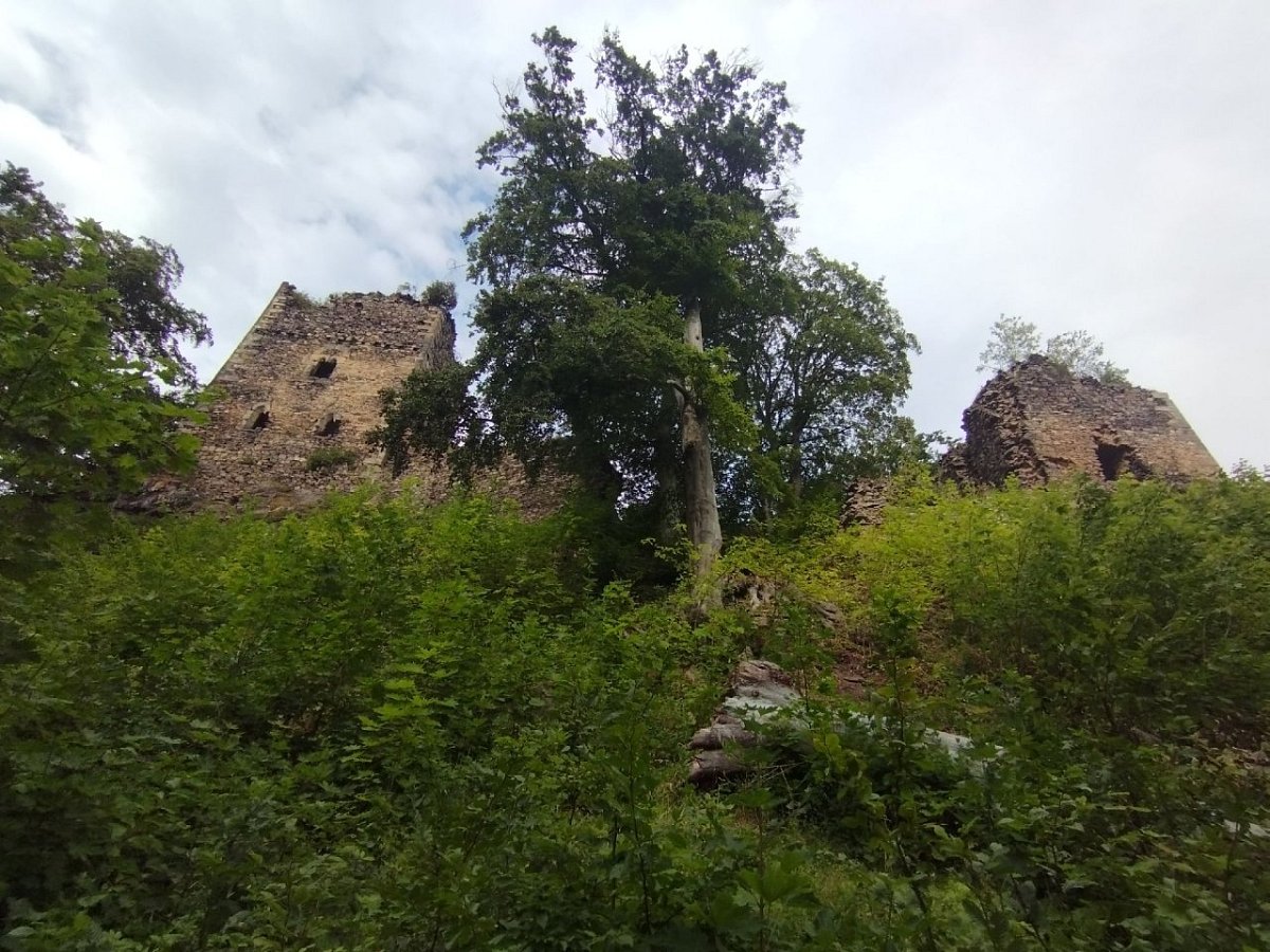 Rýzmburk (565&nbsp;m)