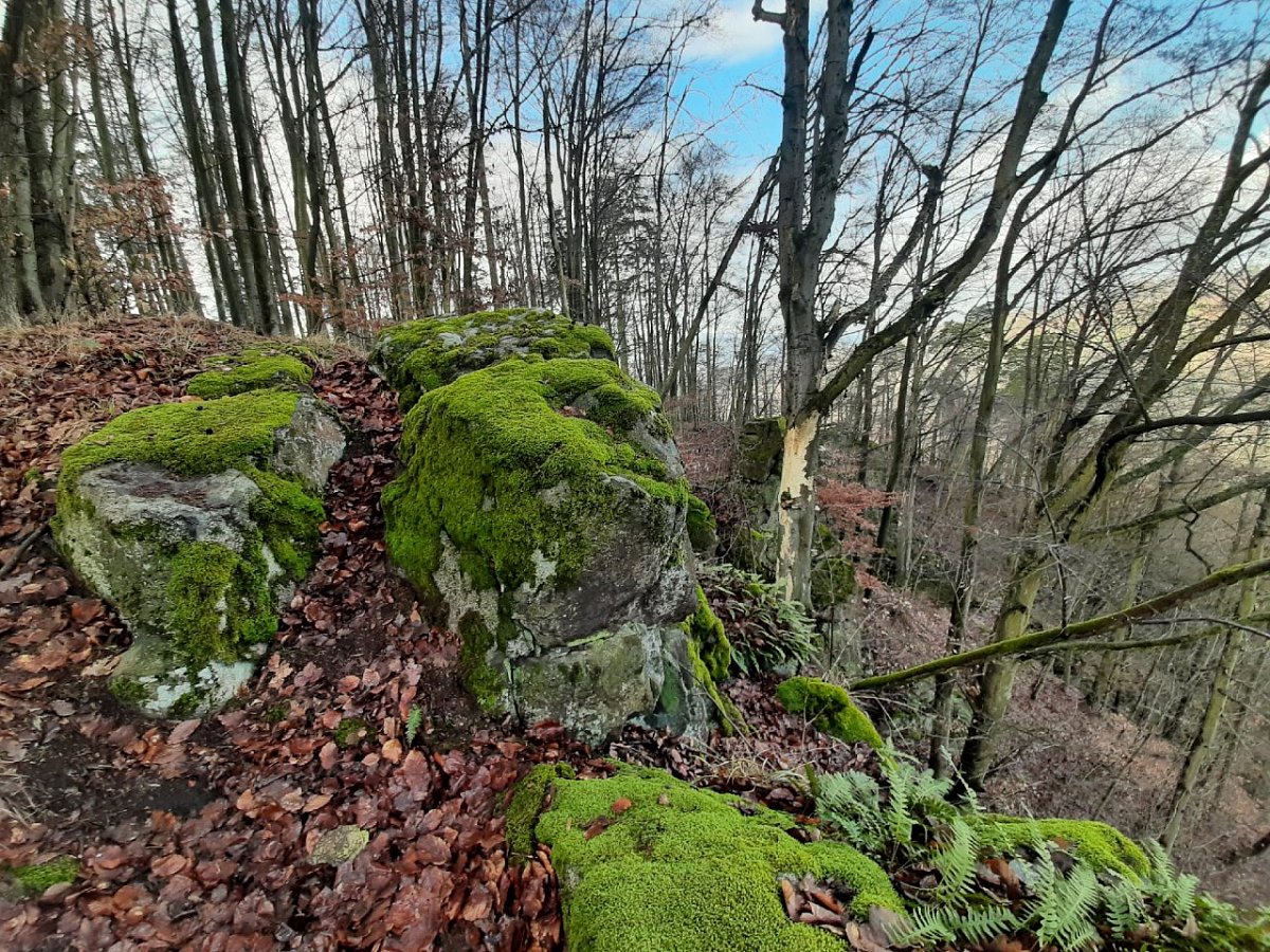Výrovka (439&nbsp;m)