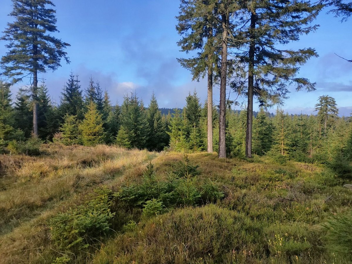 Trnová hora (1060&nbsp;m)