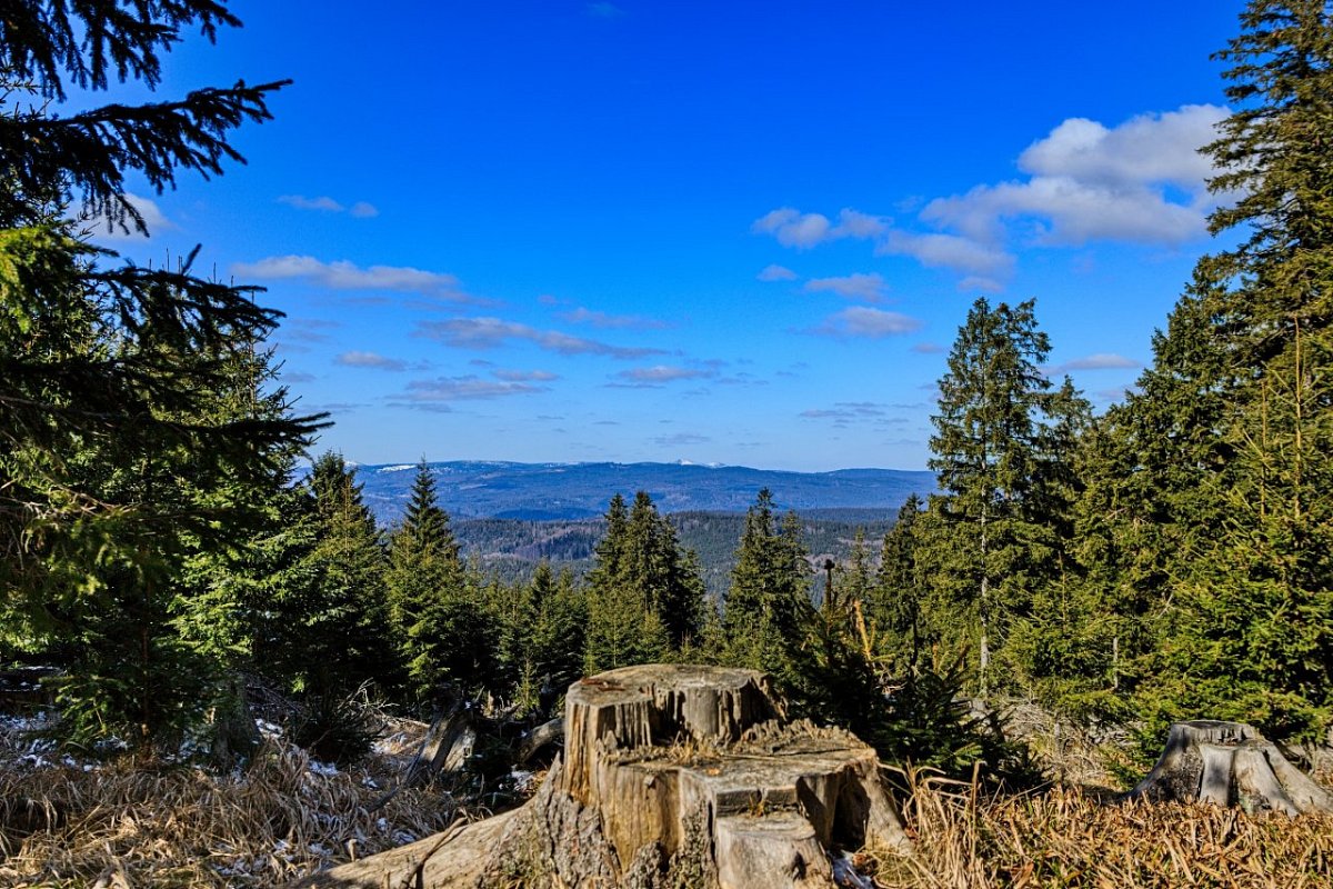 Srní hlava (1268&nbsp;m)