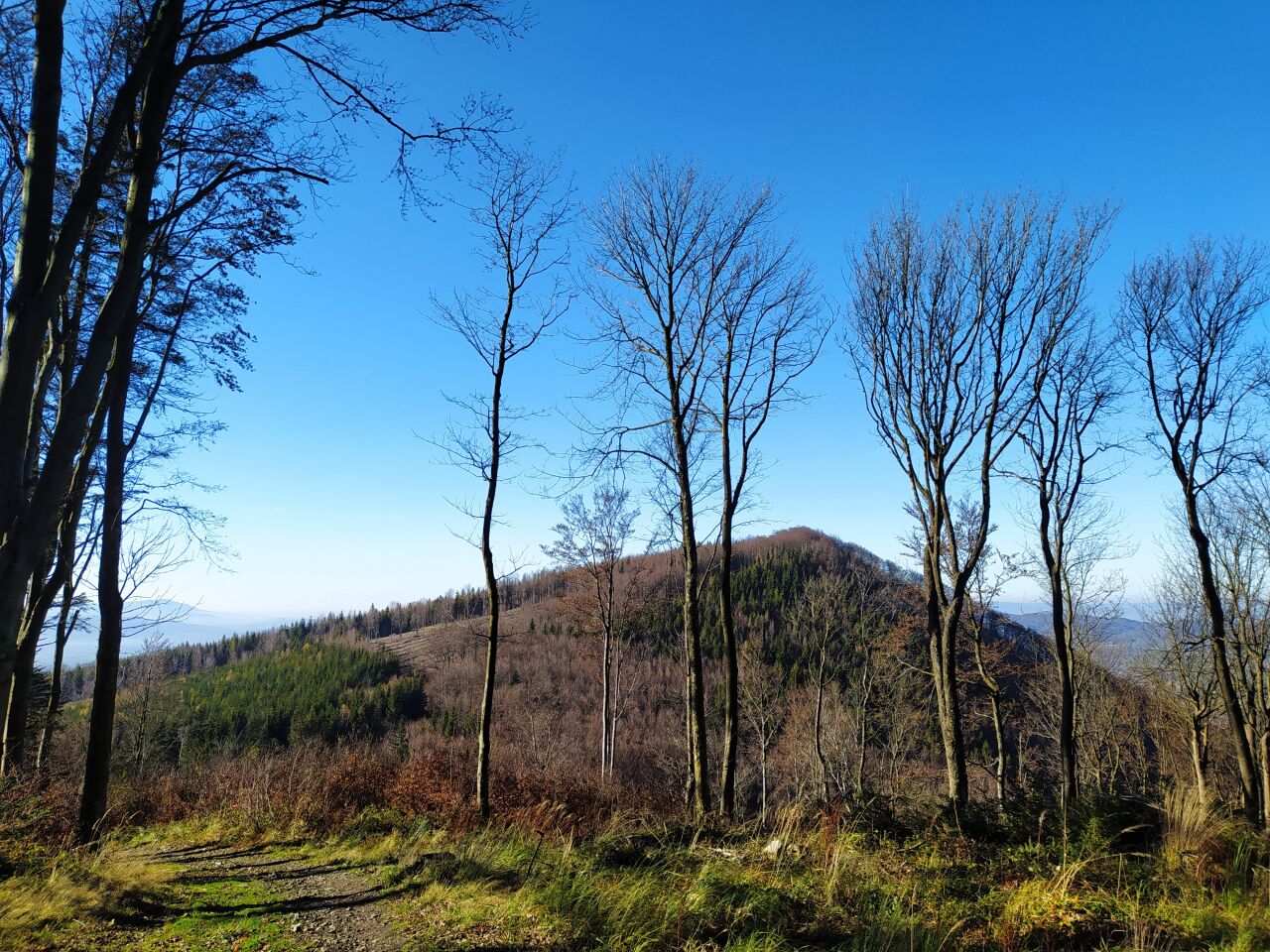 Dlouhá