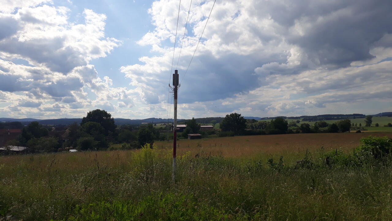 Záhumenice
