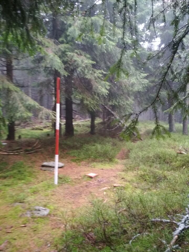 Černá stráň (1237&nbsp;m)