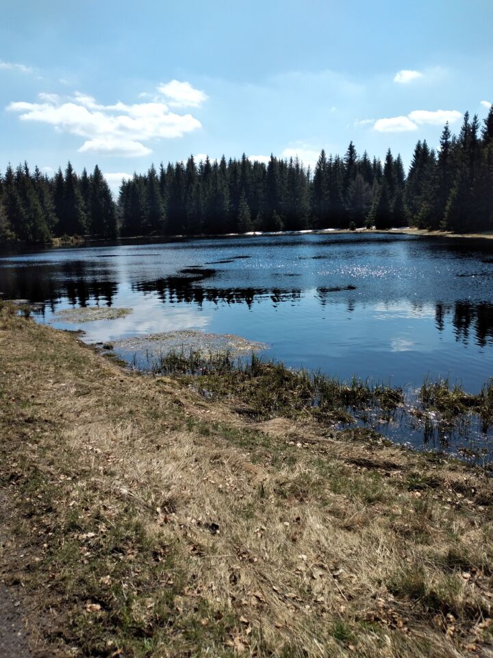 Mlýnský vrch