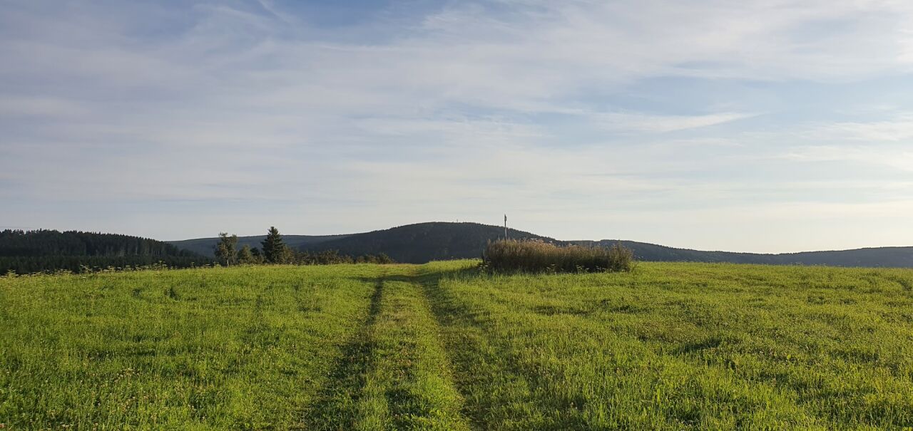 Pustý (798&nbsp;m)