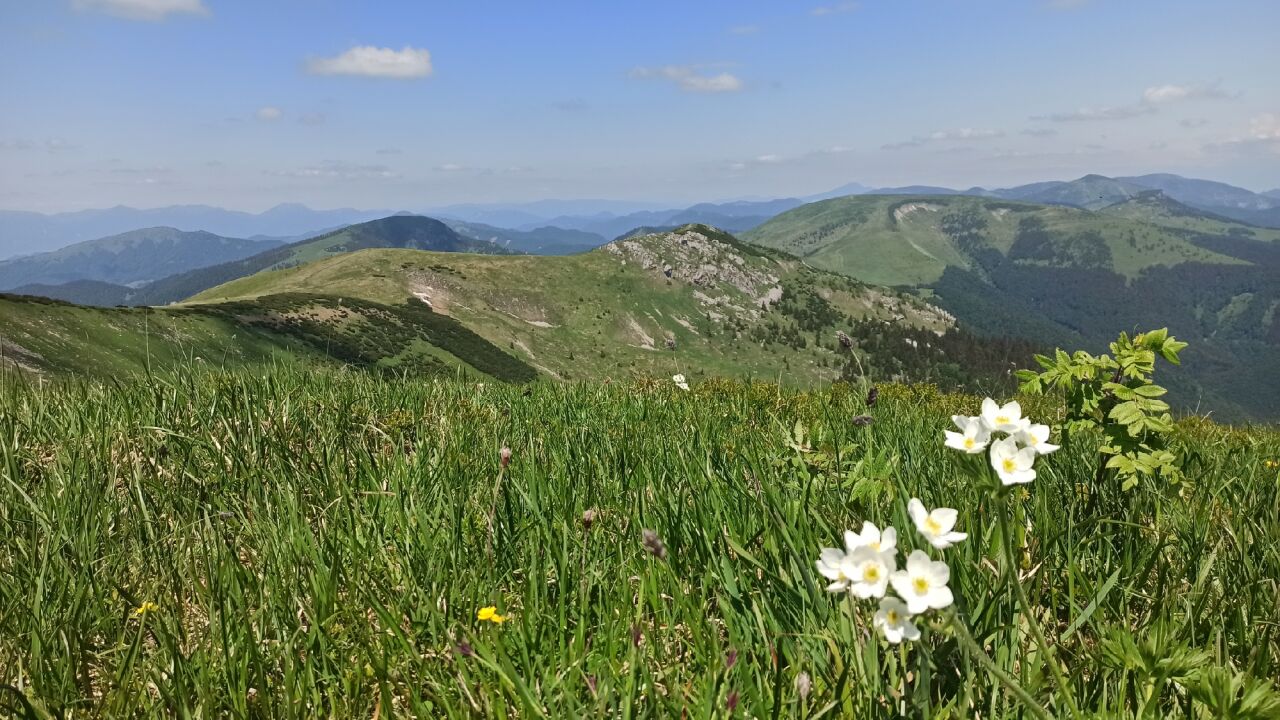 Ostredok (1596&nbsp;m)