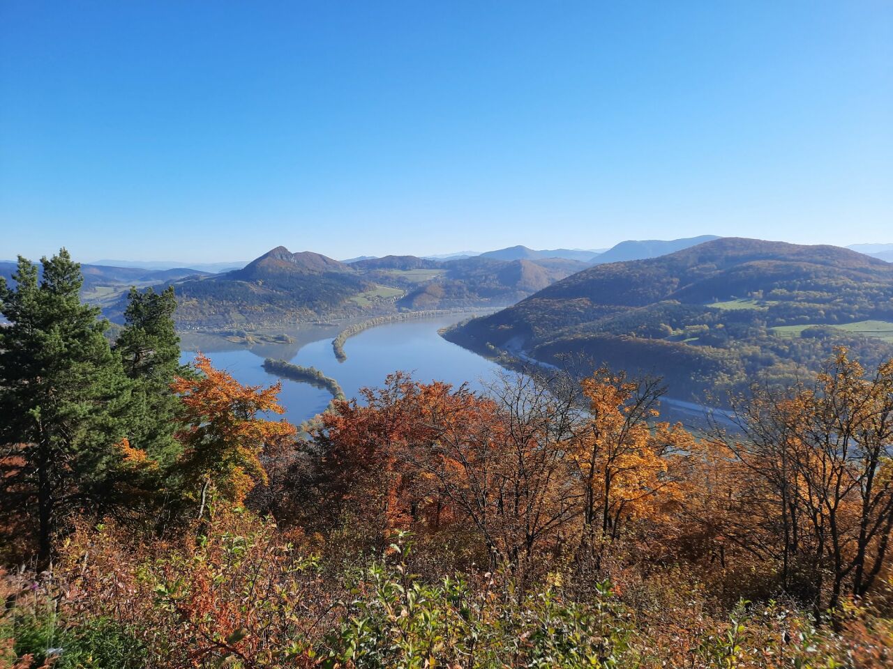 Holíš