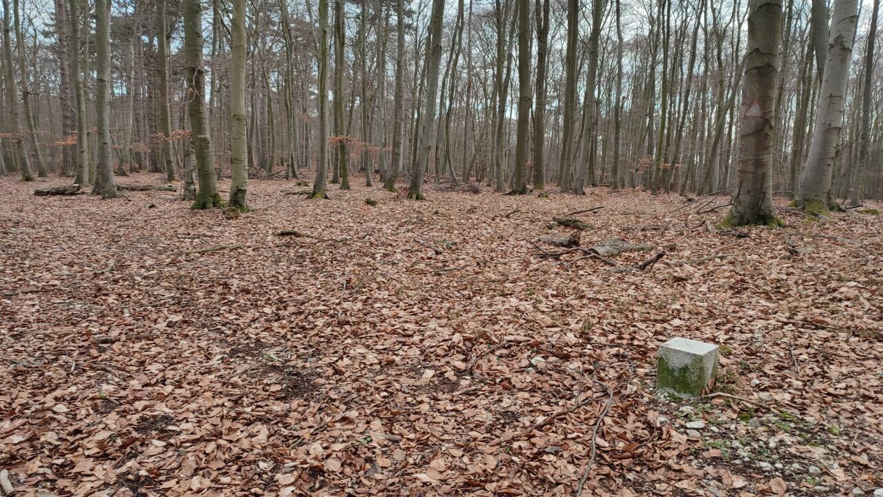 Slopy (432&nbsp;m)