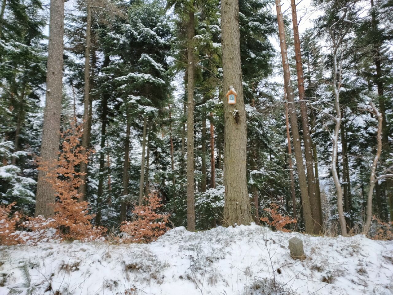Czupel (654&nbsp;m)