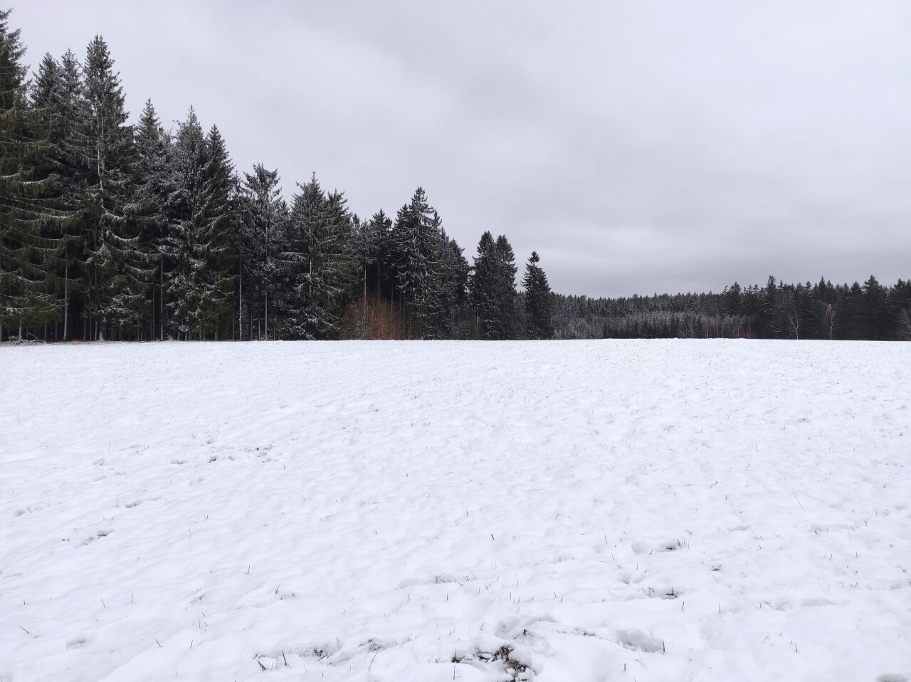 Stráňka (689&nbsp;m)