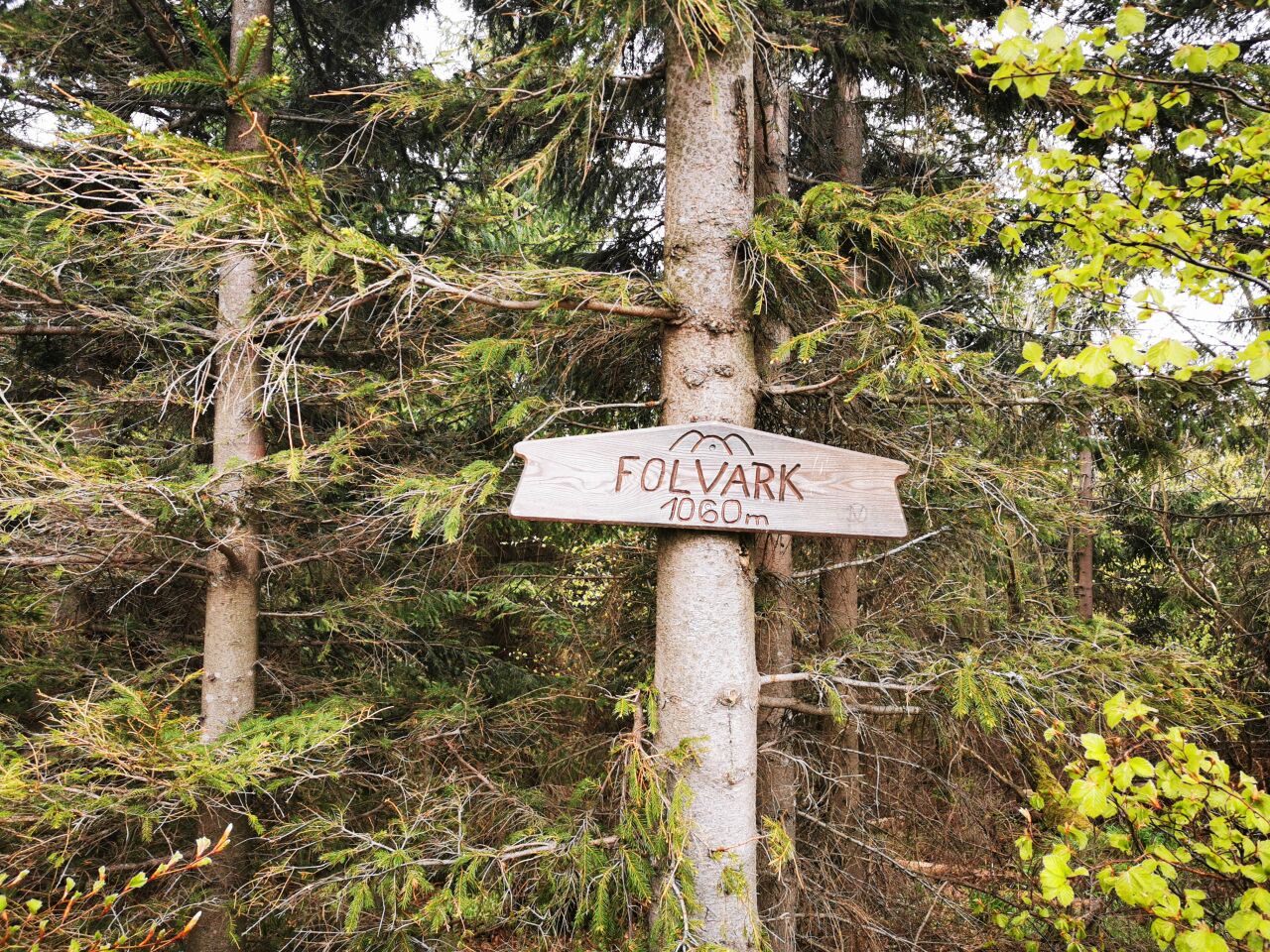 Folvark