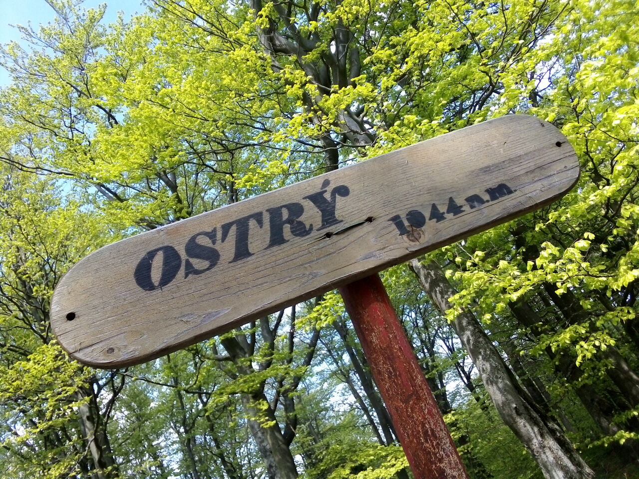 Ostrý
