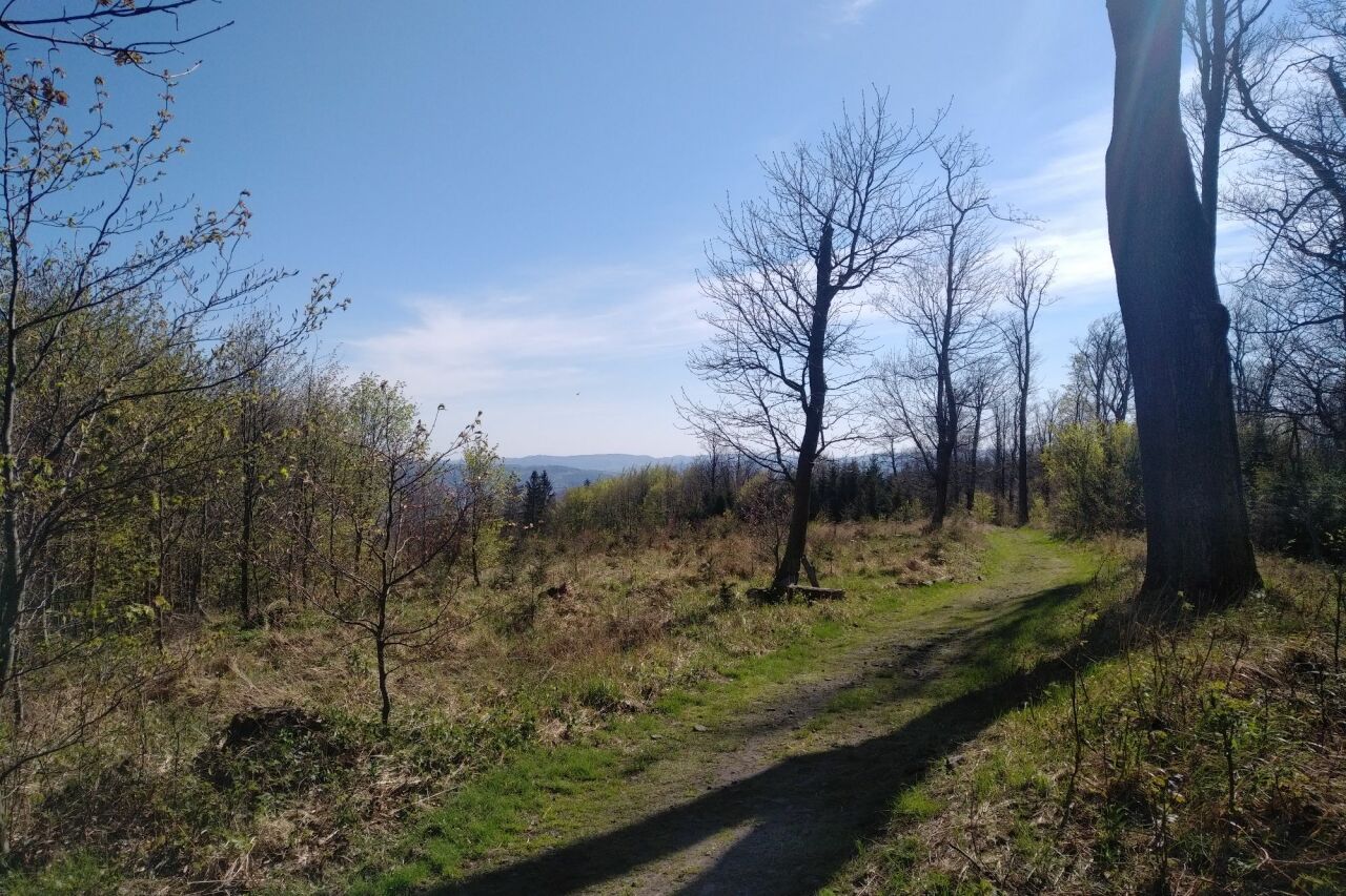 Oprchlice (639&nbsp;m)
