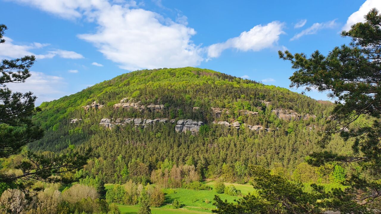 Vlhošť