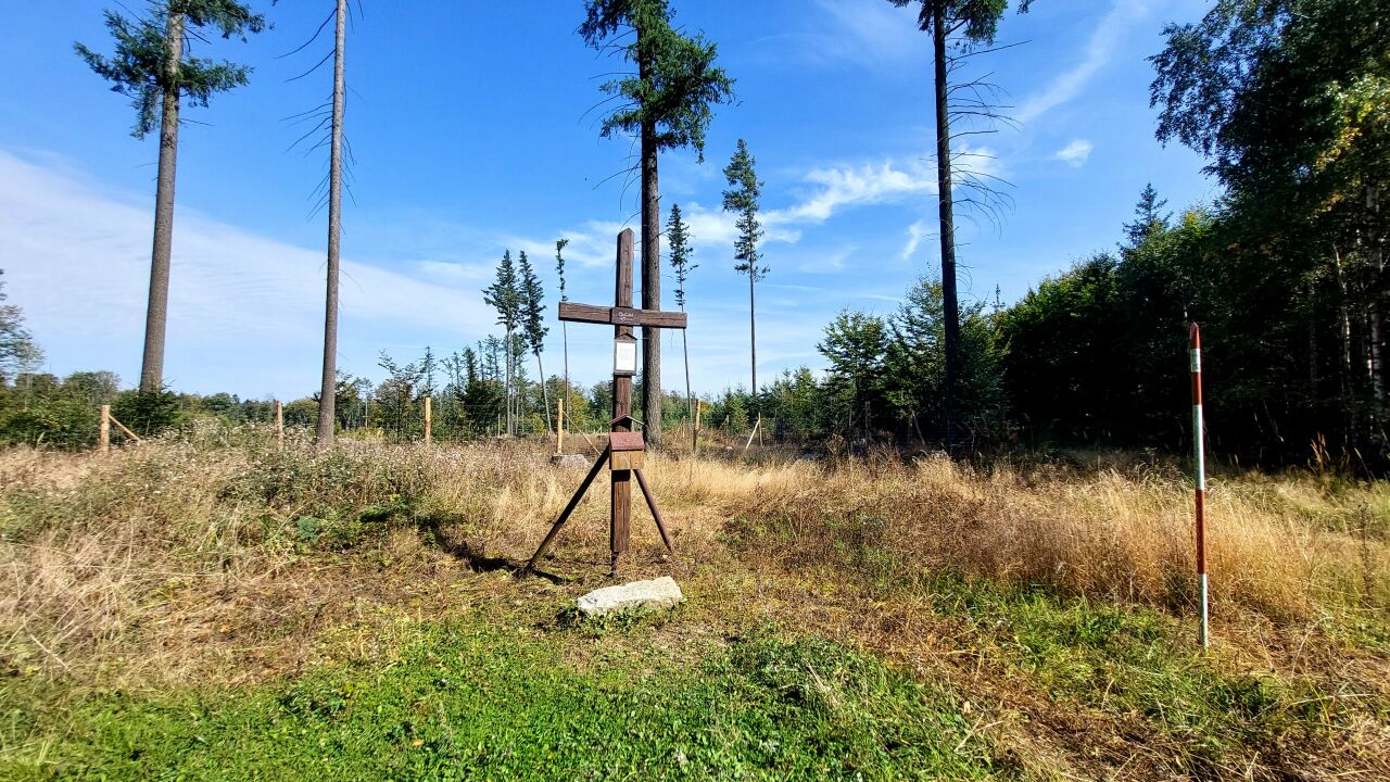 Bučina