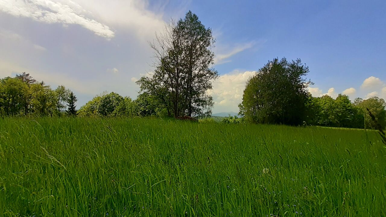 Pilcův vrch
