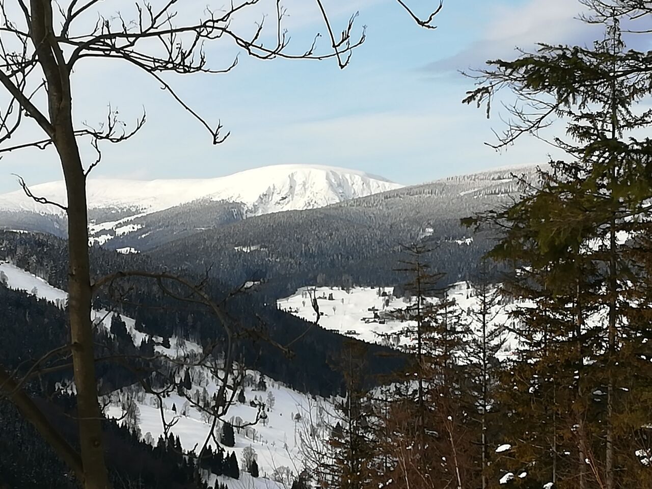 Špičák (876&nbsp;m)